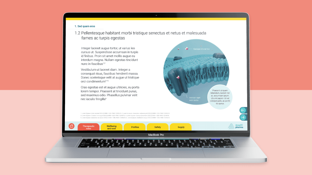 Laptop showing an example screen from a value story